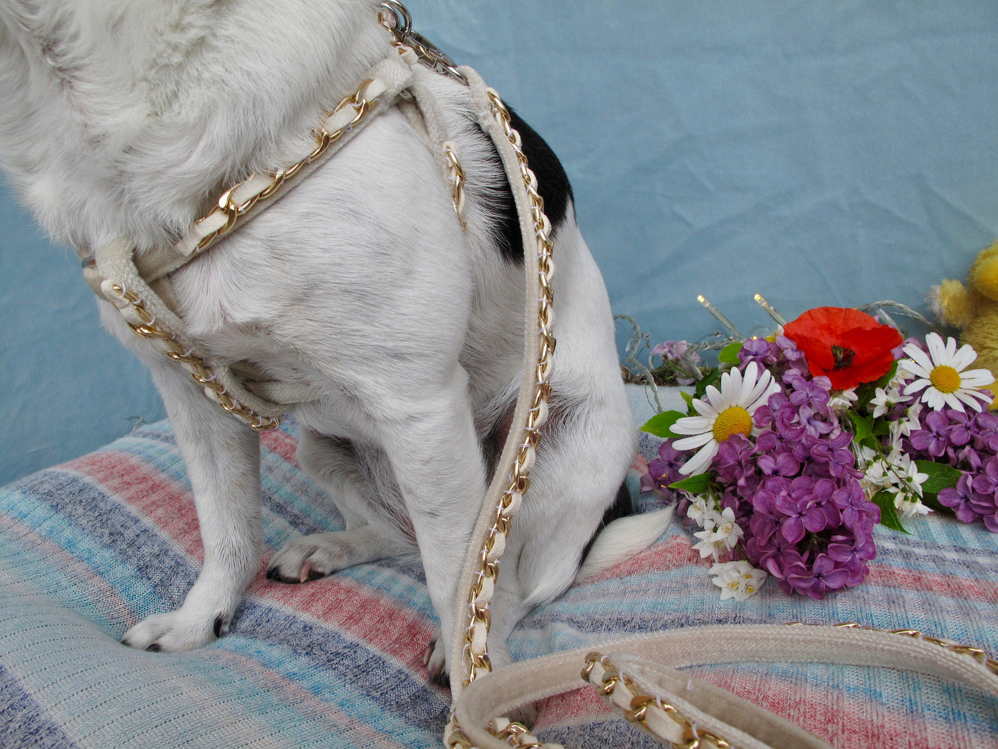 Ivory Velvet Luxury Chain Dog Collar and Leash Set - More Available Colors and Sizes