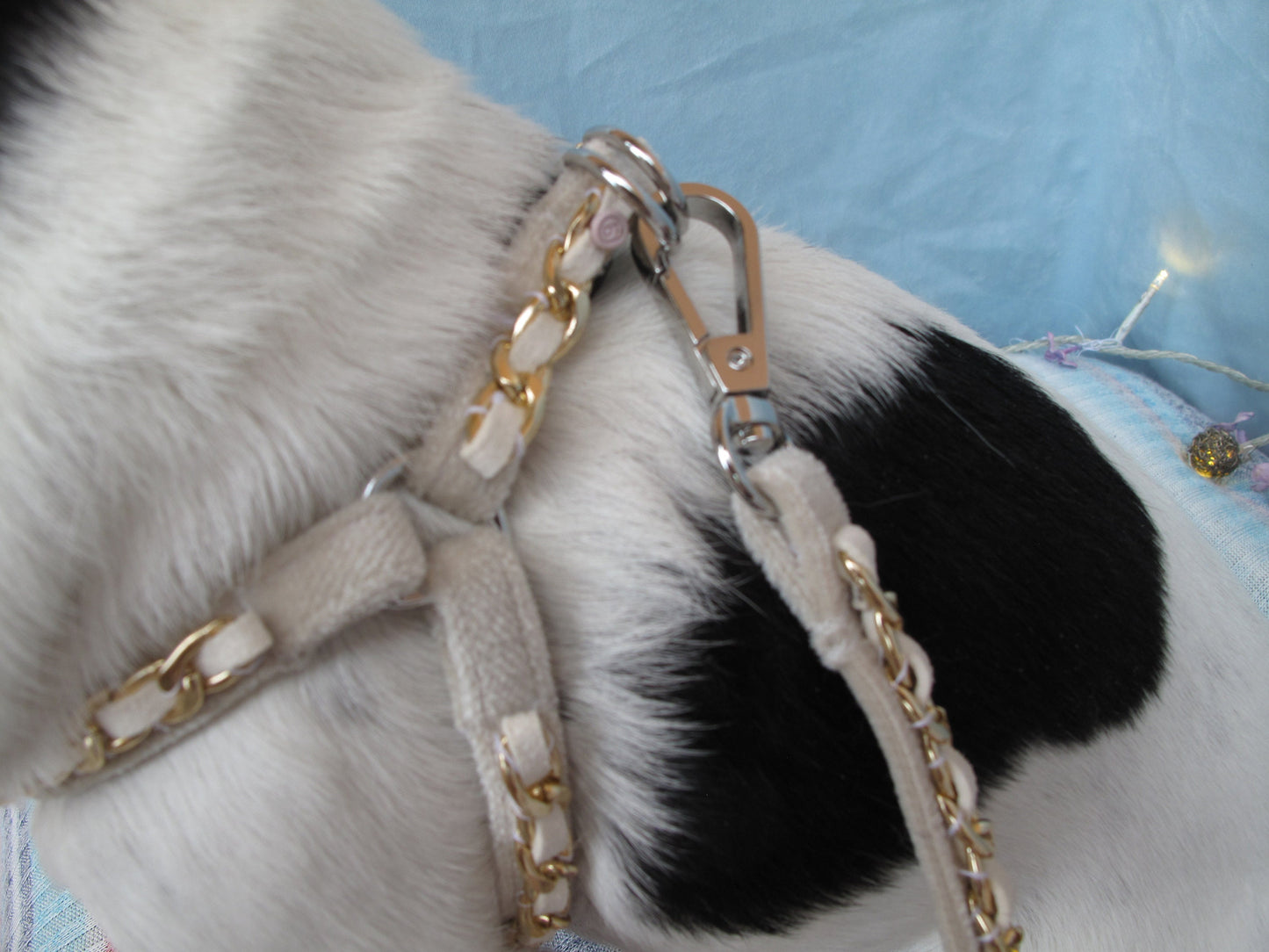 Ivory Velvet Luxury Chain Dog Collar and Leash Set - More Available Colors and Sizes