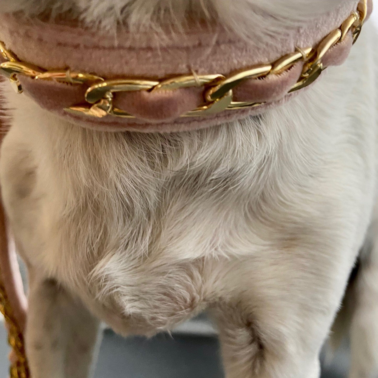 Gold Embellished Dog Collar, Adjustable Harness Leash Set, Unisex Dog Collar 4Ft Leash, Puppy Dog Collar, Soft Rose Velvet, Dog Accessories