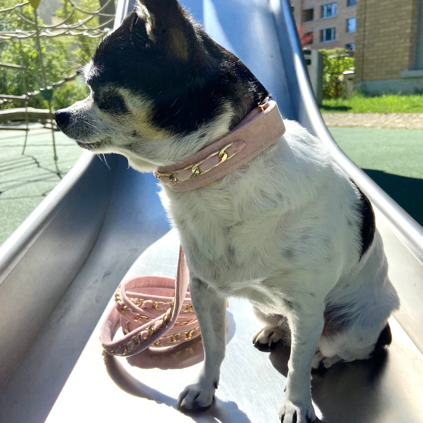 Gold Embellished Dog Collar, Adjustable Harness Leash Set, Unisex Dog Collar 4Ft Leash, Puppy Dog Collar, Soft Rose Velvet, Dog Accessories