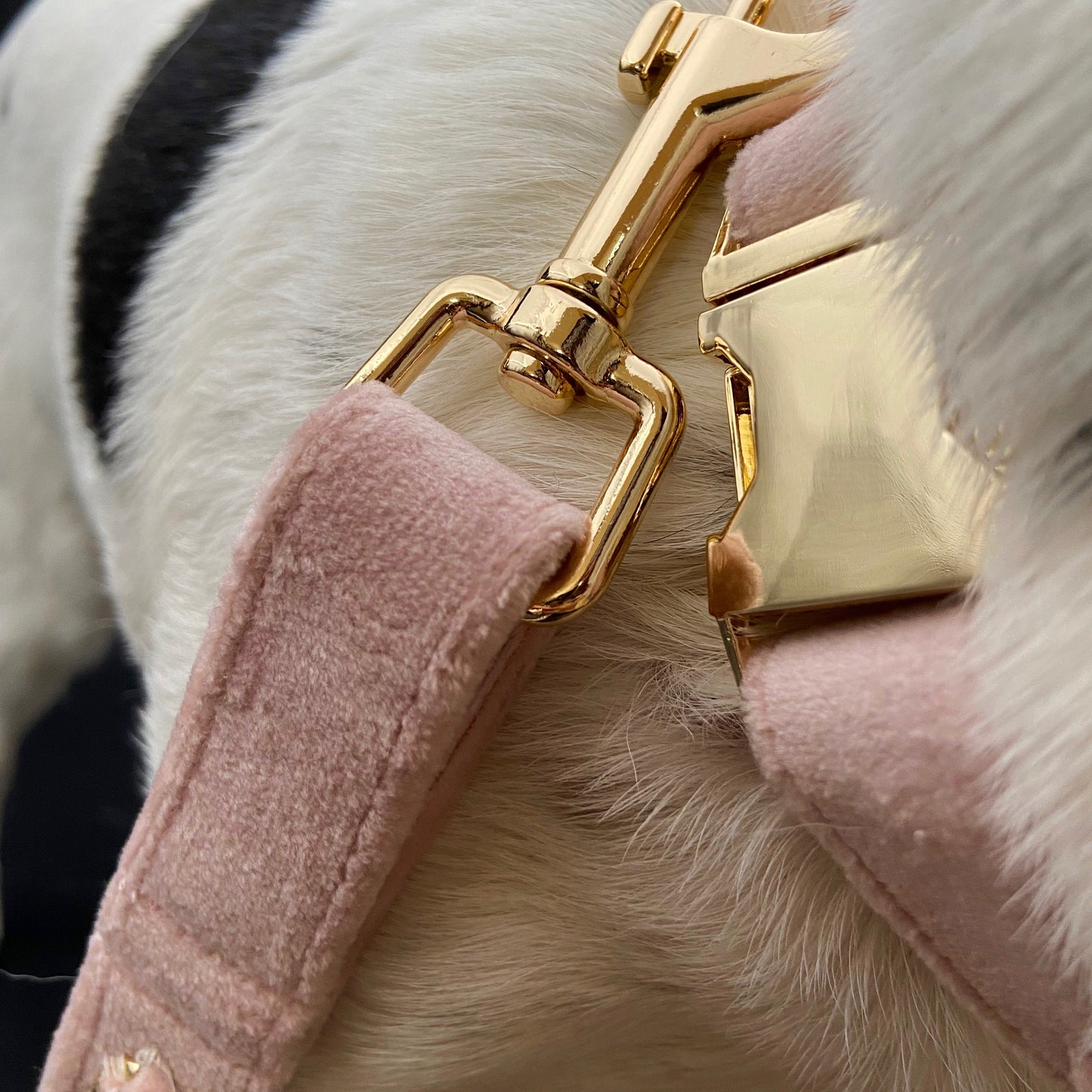 Gold Embellished Dog Collar, Adjustable Harness Leash Set, Unisex Dog Collar 4Ft Leash, Puppy Dog Collar, Soft Rose Velvet, Dog Accessories