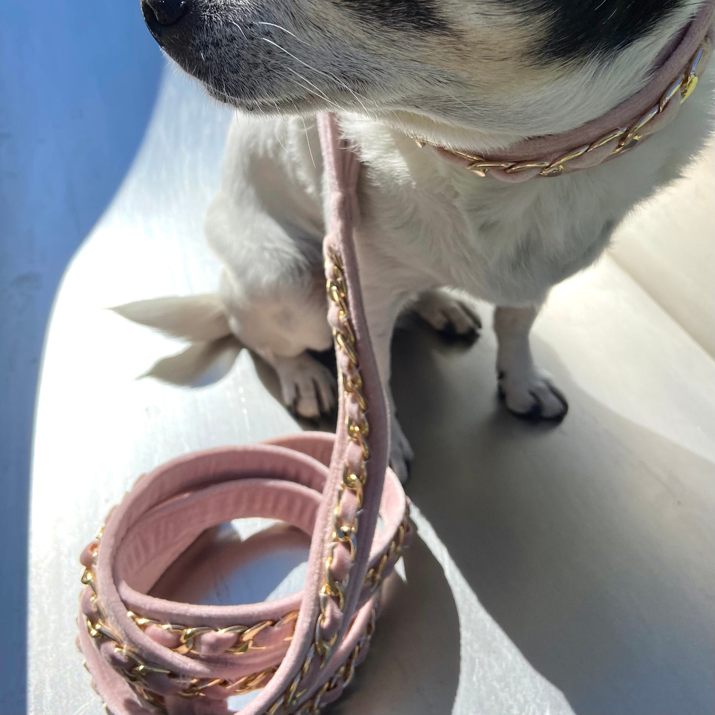 Gold Embellished Dog Collar, Adjustable Harness Leash Set, Unisex Dog Collar 4Ft Leash, Puppy Dog Collar, Soft Rose Velvet, Dog Accessories