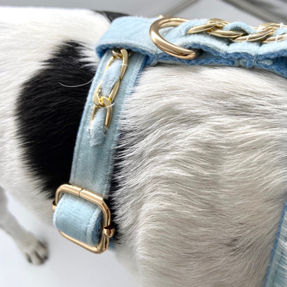 Gold Embellished Dog Collar, Adjustable Harness & Leash Set, Unisex Dog Collar 4Ft Leash, Puppy Dog Collar, Sky Blue Velvet, Dog Accessories