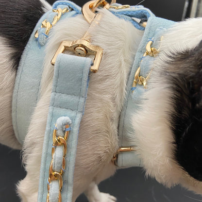 Gold Embellished Dog Collar, Adjustable Harness & Leash Set, Unisex Dog Collar 4Ft Leash, Puppy Dog Collar, Sky Blue Velvet, Dog Accessories