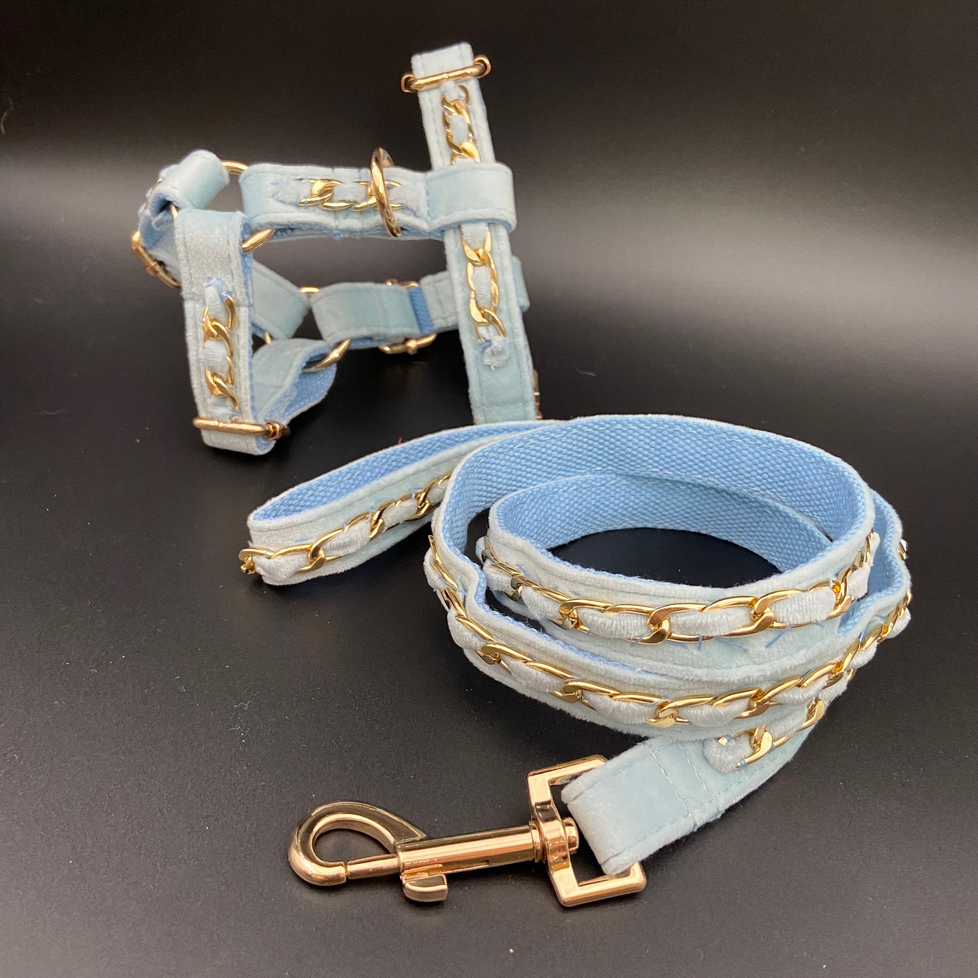 Gold Embellished Dog Collar, Adjustable Harness & Leash Set, Unisex Dog Collar 4Ft Leash, Puppy Dog Collar, Sky Blue Velvet, Dog Accessories