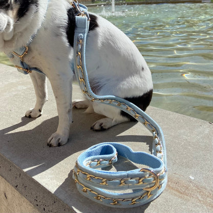 Gold Embellished Dog Collar, Adjustable Harness & Leash Set, Unisex Dog Collar 4Ft Leash, Puppy Dog Collar, Sky Blue Velvet, Dog Accessories