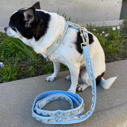 Gold Embellished Dog Collar, Adjustable Harness & Leash Set, Unisex Dog Collar 4Ft Leash, Puppy Dog Collar, Sky Blue Velvet, Dog Accessories